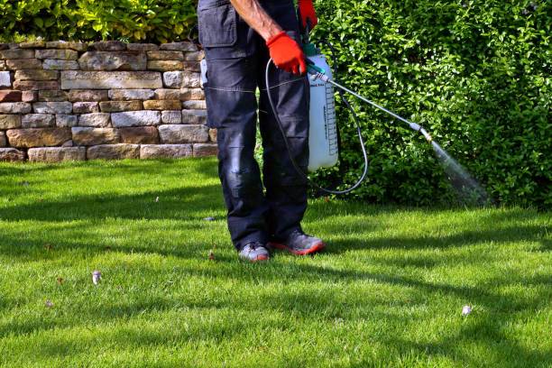 Reliable Caruthersville, MO Pest Control Solutions